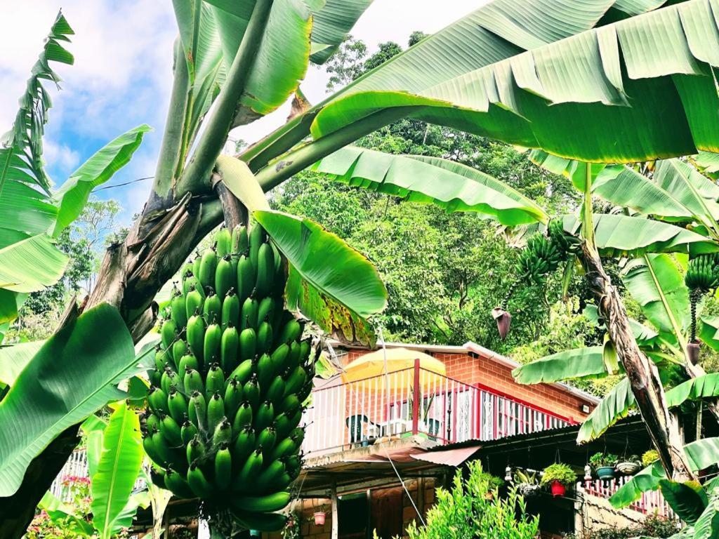 Posada Lu.Lu Choachí Buitenkant foto